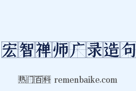 宏智禅师广录造句是什么意思的图片